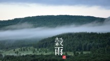 王軍接受記者采訪回應(yīng)稅收熱點問題 