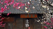 干貨！享受服務(wù)外包所得稅優(yōu)惠的風(fēng)險點