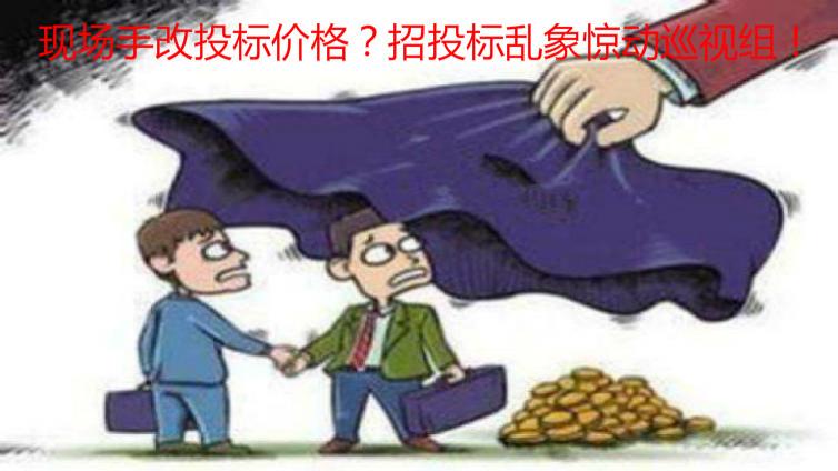 現場手改投標價格？招投標亂象驚動巡視組！