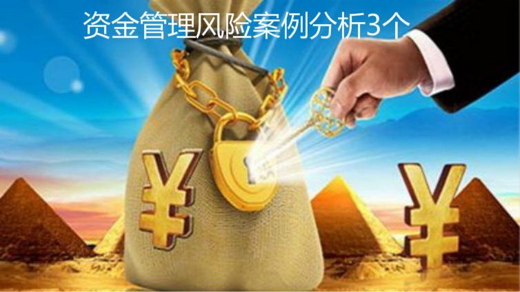 資金管理風(fēng)險(xiǎn)案例分析3個(gè)