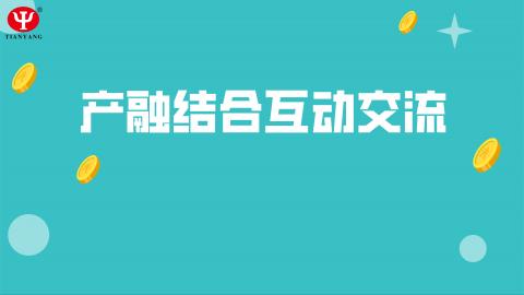 默認教學計劃 